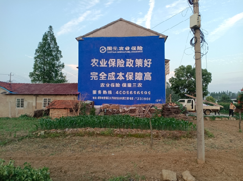 西华墙体广告的优劣势你知道吗？